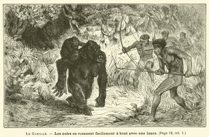 Der Gorilla von French School