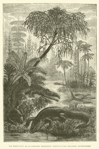 Die Bewohner der Triaszeit, Kapitosaurus, Belodon, Nothosaurus von French School