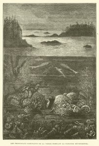Die Hauptbewohner der Erde während der Devonzeit von French School