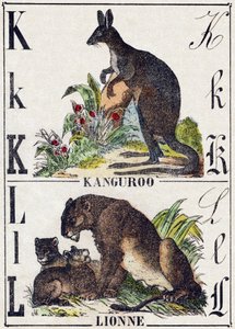 Buchstabe K L; K Känguru; L Löwin. Gravur in "Alphabet der wilden Tiere". 9. Serie. Bildersammlung von Epinal, Pellerin, Drucker-Verleger, um 1870