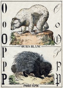 Buchstabe O Bär; P Stachelschwein. Gravur in "Alphabet des animaux sauvages". 9. Serie. Bilder von Epinal, Pellerin, Drucker-Verleger, um 1870. Holzschnitte, schabloniert. 16 Seiten. Dim: 20 x 15 cm. Private Sammlung.