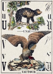 Buchstabe U Unau (Faultier); V Geier. Gravur in „Alphabet der wilden Tiere“. 9. Serie. Bildsprache von Epinal, Pellerin, Drucker-Verleger, um 1870. Holzschnitte, schabloniert. 16 Seiten. Private Sammlung von French School