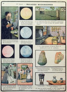 Louis Pasteur (1822-95) und bakterielle Krankheiten, aus Les Sciences Physiques et Naturelles, Paris, 1908