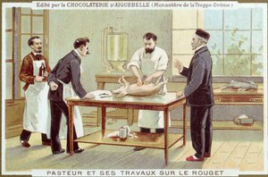 Louis Pasteur (1822-95) bei der Untersuchung von Masern, Werbekarte für die Chocolaterie d