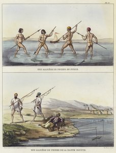 Fischereimethoden in Nubien und Ägypten von French School