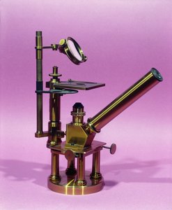 Mikroskop von Louis Pasteur (1811-95) (Metall) von French School