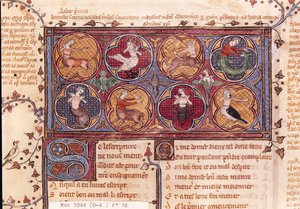 Metamorphosen, aus Ovid Moralise geschrieben von Chretien Legouais