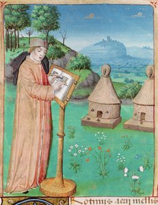 Ms 493 fol.45 Virgil (70-19 v. Chr.) schreibt das Leben der Bienen, aus den Georgica von Virgil mit einem Kommentar von Servius, 1469