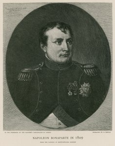 Napoleon Bonaparte im Jahr 1809 von French School