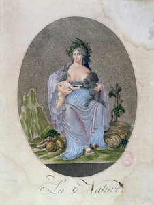Natur stillt ein schwarzes und ein weißes Baby, ca. 1792