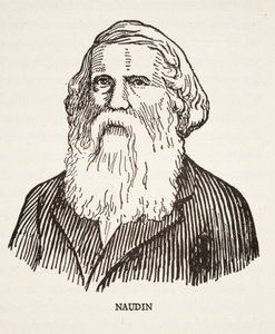 Naudin von French School