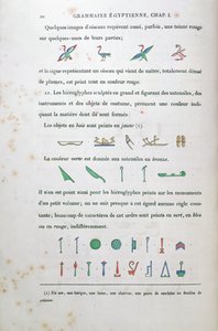 Notizen zur Färbung bestimmter Hieroglyphen, aus Grammaire Egyptienne von Jean Francois Champollion (1790-1832) 1836