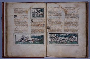 Seiten 57 und 58, aus Le Livre du Roy Modus et de la Royne Racio, von Henri de Ferrieres, ca. 1420 von French School