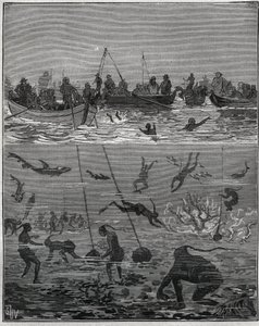Perlenfischer in Ceylon (heutiges Sri Lanka) im 19. Jahrhundert. Gravur von 1885 in „Les arts et métiers illustrés“ von Adolphe Bitard.