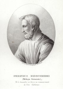 Pedanius Dioscorides von French School