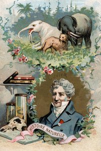Porträt von Baron Georges Cuvier, französischer Zoologe und Paläontologe (1769-1832), Begründer der vergleichenden Anatomie. Chromolithographie des 19. Jahrhunderts