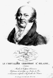 Porträt von Etienne Geoffroy Saint-Hilaire (1722-1844) von French School