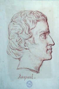 Porträt von Francois Vincent Raspail (1794-1878) von French School