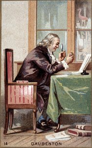 Porträt von Louis Jean Marie Daubenton (1716-1800), französischer Naturforscher. von French School