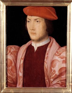 Porträt von Odet de Coligny, Kardinal von Chatillon im Jahr 1534 (Sohn von Gaspard de Coligny, Marschall von Frankreich und Bruder von Admiral Gaspard de Coligny) (1517-1571) um 1535 von French School