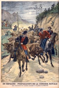 Vorbereitungen für die Stierkämpfe zur Feier der Hochzeit von König Alfons XIII. von Spanien. Stiere werden nach Madrid gebracht. In Spanien, Vorbereitungen für den königlichen Stierkampf. Die Kampfstiere werden zur Plaza de Madrid gebracht. Illustration f