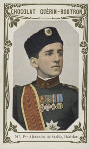 Prinz Alexander von Serbien, Erbe von French School