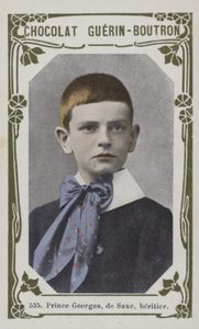 Prinz Georg von Sachsen, Erbe von French School
