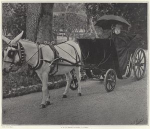 Königin Victoria in Cimiez von French School
