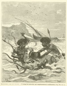 Begegnungen mit den Kraken von French School