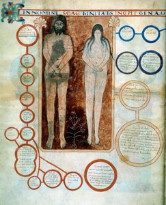Darstellung von Adam und Eva, die roten Medaillons stellen die Linie von Kain dar, die durch die Sintflut zerstört wurde Miniatur, die die Kommentare zur „Apokalypse nach Johannes“ illustriert, geschrieben 775 von dem Mönch Beatus von Liebana