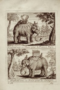 Königliche Elefanten, aus Voyage du Siam des Peres Jesuites von Guy Tachard, 1688 von French School