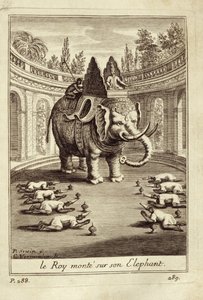 Königliche Elefanten, aus Voyage du Siam des Peres Jesuites von Guy Tachard, 1688 von French School