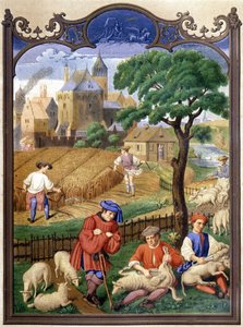 Schafschur und Ernte - Miniatur, Mittelalter von French School