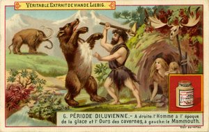 Die antediluvianische Periode, Liebig-Karte