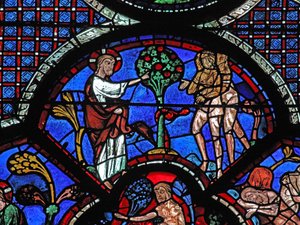 Das Fenster des barmherzigen Samariters: Gott verbietet Adam und Eva, die Frucht des Baumes zu essen