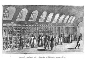 Die Große Galerie des Naturkundemuseums in Paris