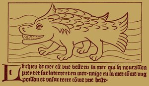 Der Seehund von French School