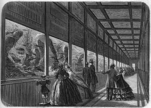 Das Aquarium des Pariser Akklimatisationsgartens im Jahr 1863
