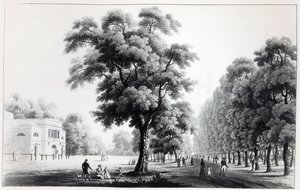 Die Hauptallee im Prater, Wien, 1821