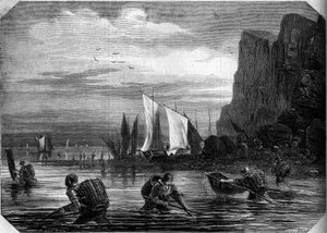 Die Garnelenfischerei in der Nähe von Le Havre, Seine-Maritime (76) von French School