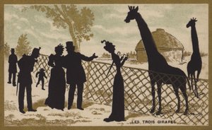 Die drei Giraffen von French School