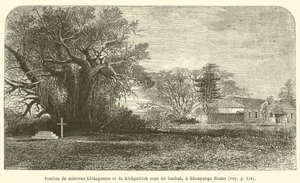 Gräber von Mistress Livingstone und Kirkpatrick unter einem Baobab, bei Shoupanga House von French School