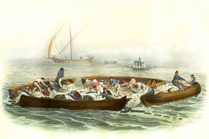 Thunfischfang oder Magrague - Tafel aus Histoire Naturelle von Bernard Germain de Lacepede (1856-1925), Ausgabe P.Furme, Paris