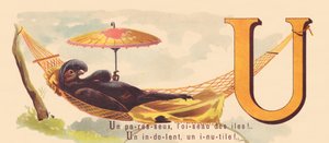 U: Ein Fauler, der Vogel der Inseln! Ein Indolenter, ein Nutzloser!