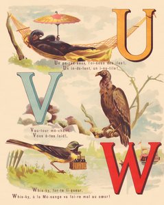 U V W: Schwarzer Emu, Geier, Bachstelze, Whiskey