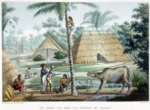 Ansicht in der Nähe von Coupang, Insel Timor