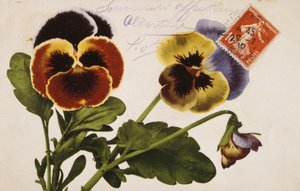 Vintage französische Postkarte mit Blumendekorationen