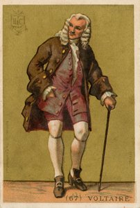 Voltaire von French School