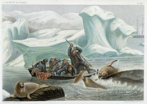 Walrossjagd - in „Le monde de la mer“ von Alfred Fredol, Hachette, Paris