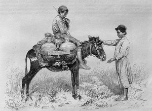 Wasserträger, aus La Syrie d